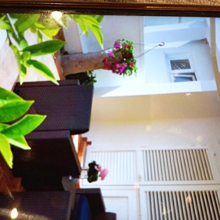 Apartmani Trubi 1 Vodice Dış mekan fotoğraf
