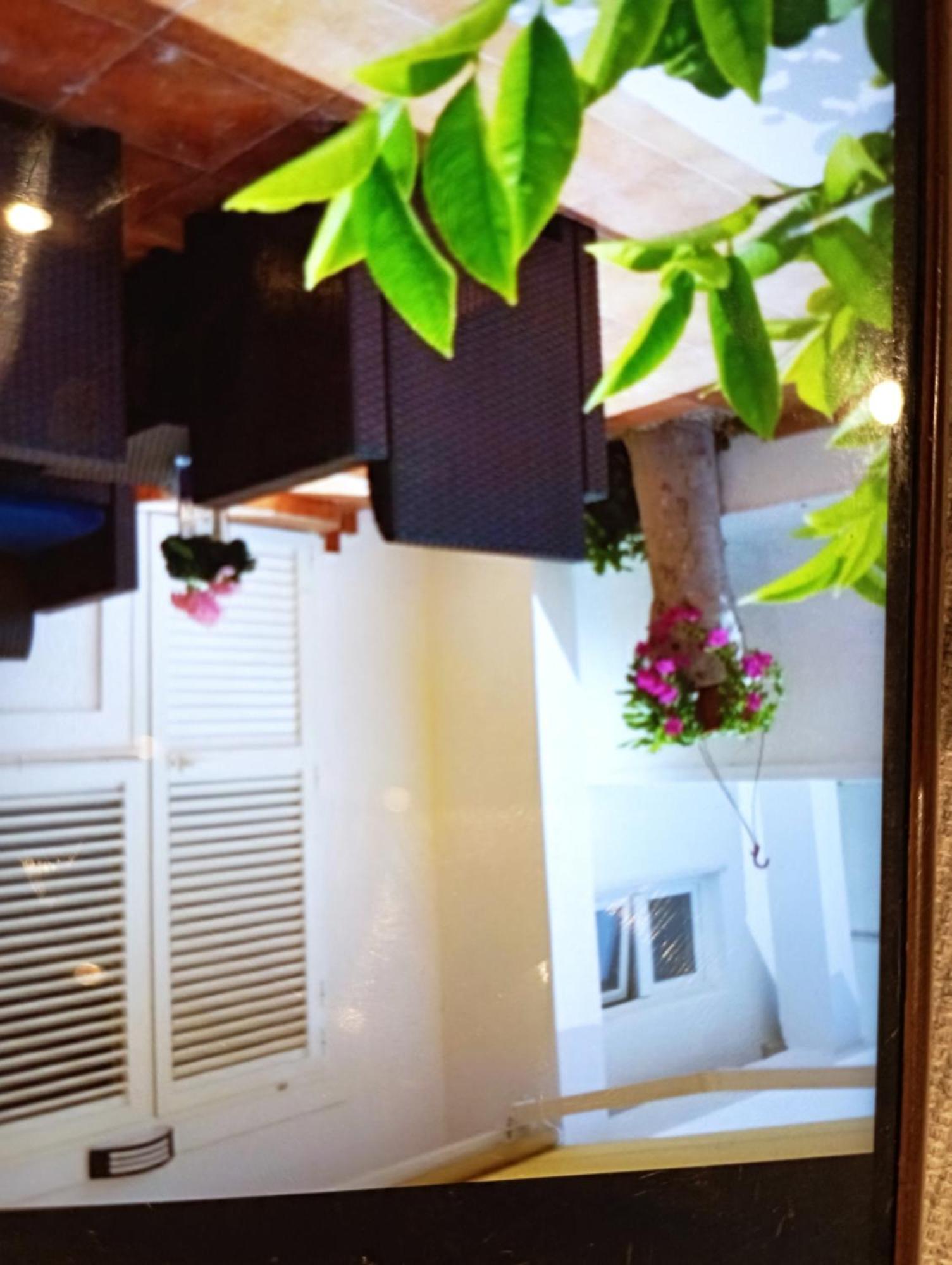 Apartmani Trubi 1 Vodice Dış mekan fotoğraf